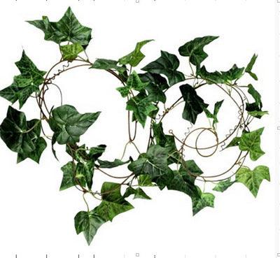 Artificial Flower Rattan Ivy Vines Green Leaves Green Plants Wall Hanging Pet Decoration Hanging Leaves - Pacisia