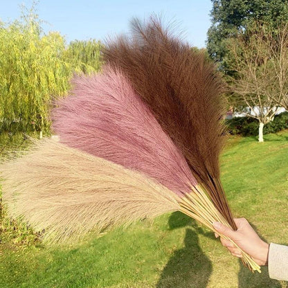 Artificial Pampas Grass Home Decoration - Pacisia