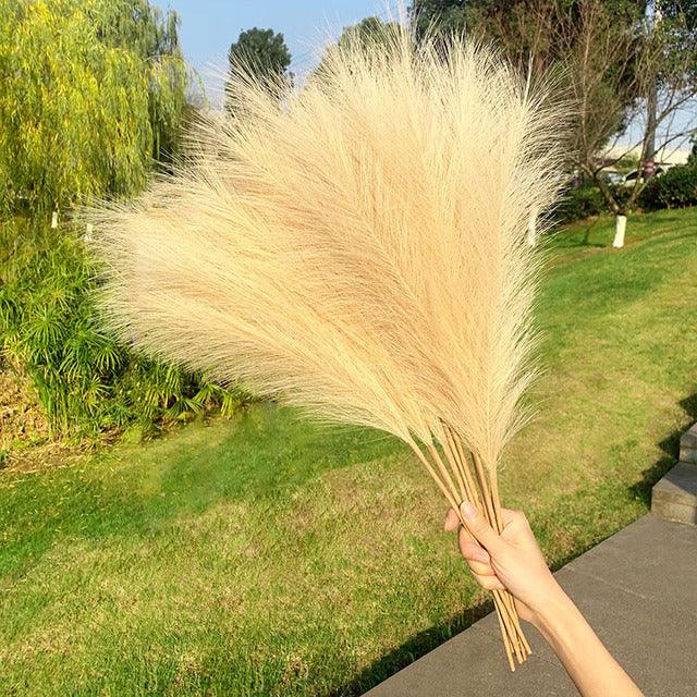 Artificial Pampas Grass Home Decoration - Pacisia