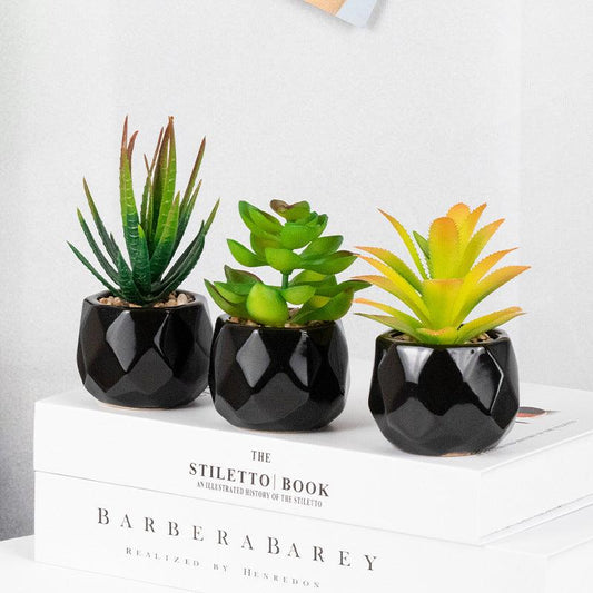 Artificial Succulents with Pots - Pacisia