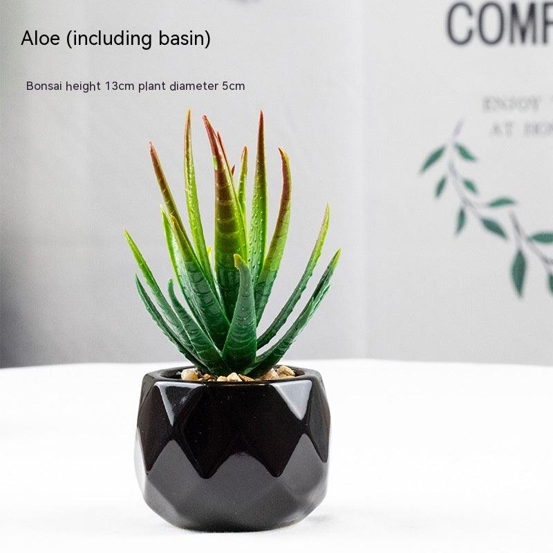 Artificial Succulents with Pots - Pacisia