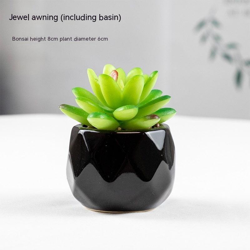 Artificial Succulents with Pots - Pacisia