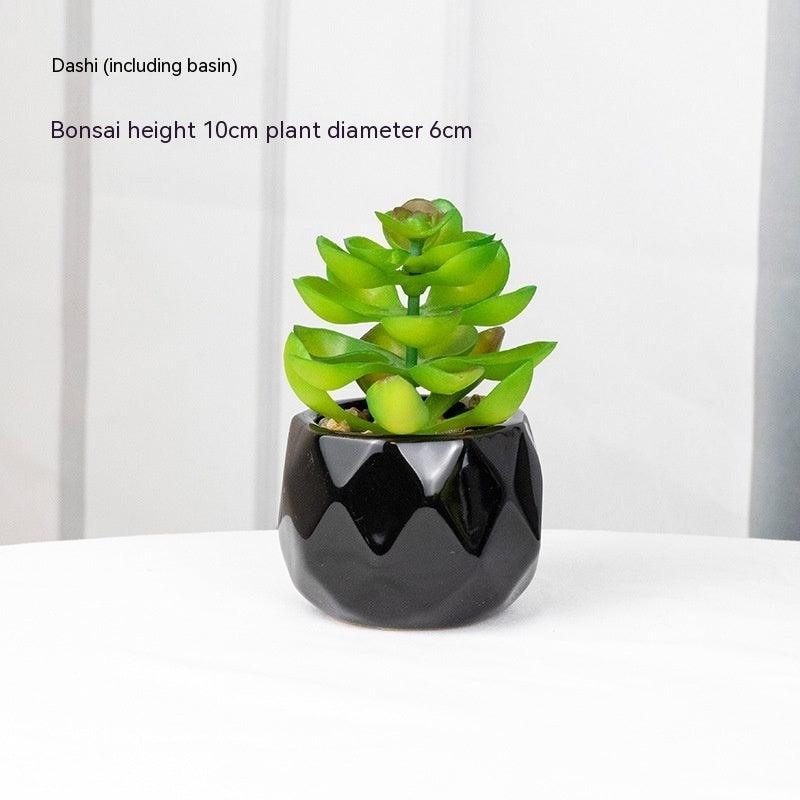 Artificial Succulents with Pots - Pacisia