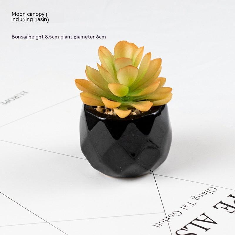 Artificial Succulents with Pots - Pacisia