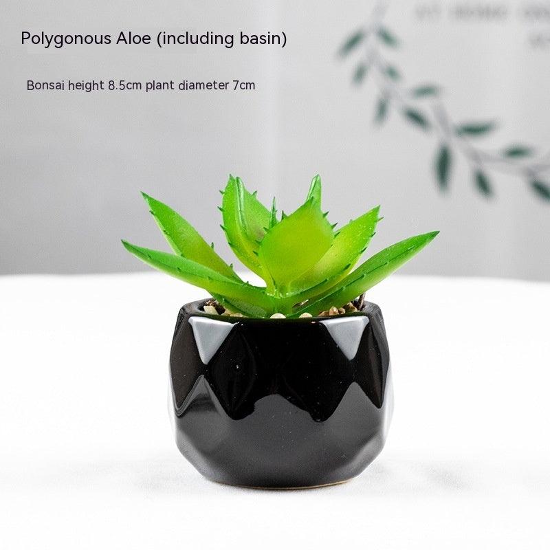 Artificial Succulents with Pots - Pacisia