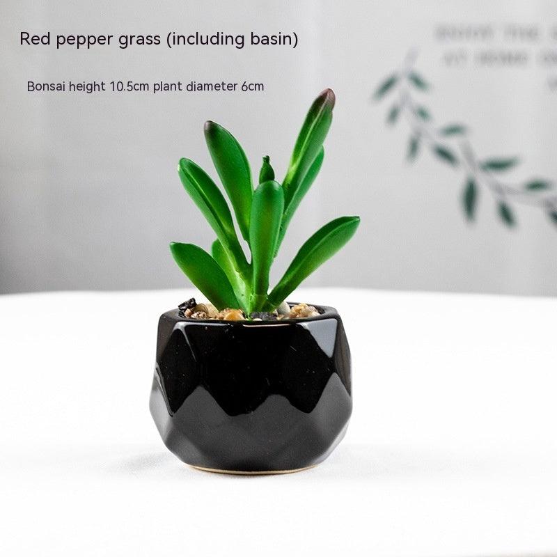 Artificial Succulents with Pots - Pacisia