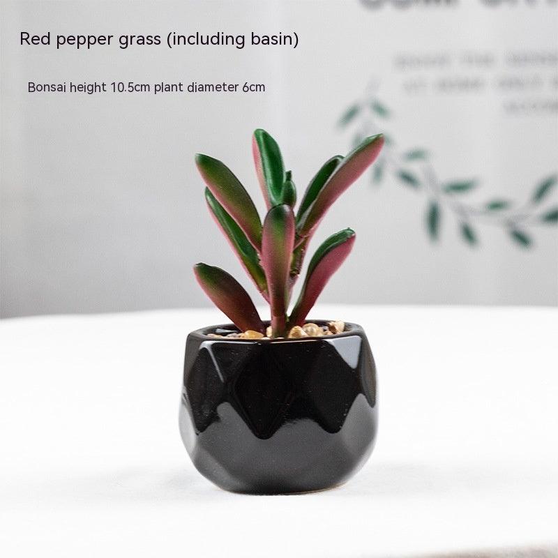 Artificial Succulents with Pots - Pacisia