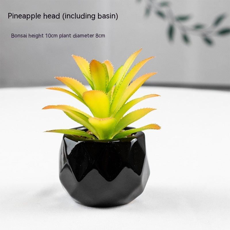 Artificial Succulents with Pots - Pacisia