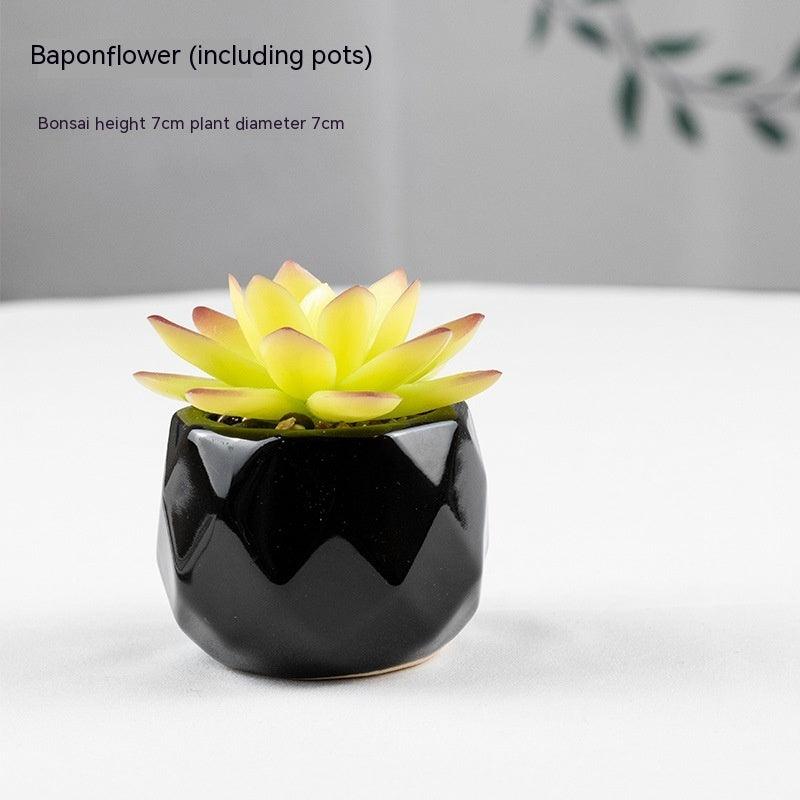 Artificial Succulents with Pots - Pacisia