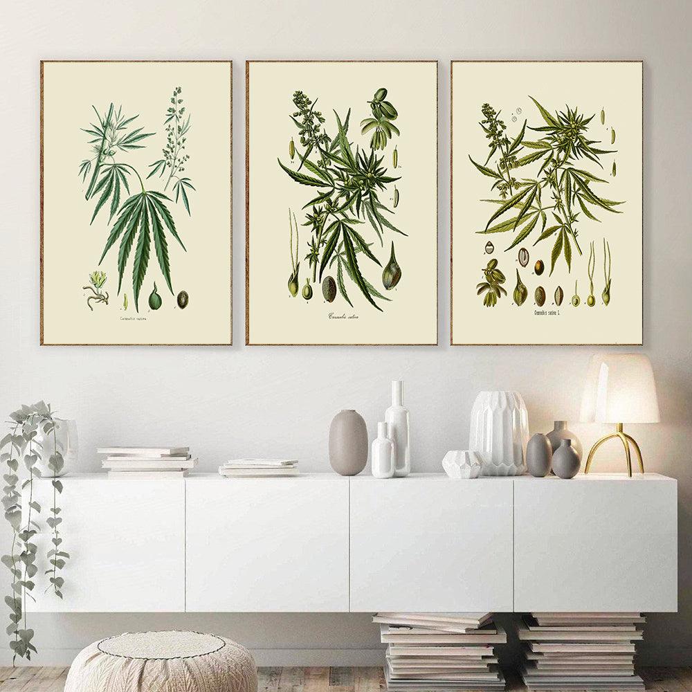 Botanical Leaf Art Print - Vintage Cannabis Sativa Wall Art Decor - Pacisia