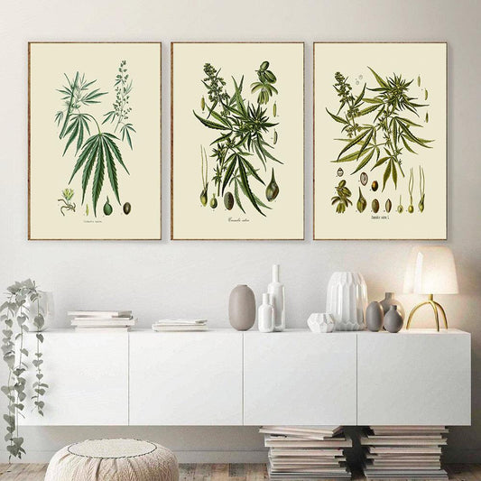 Botanical Leaf Art Print - Vintage Cannabis Sativa Wall Art Decor - Pacisia