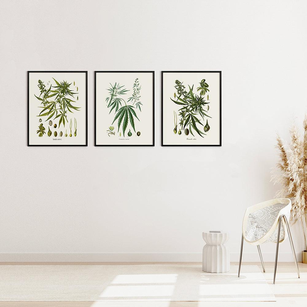 Botanical Leaf Art Print - Vintage Cannabis Sativa Wall Art Decor - Pacisia