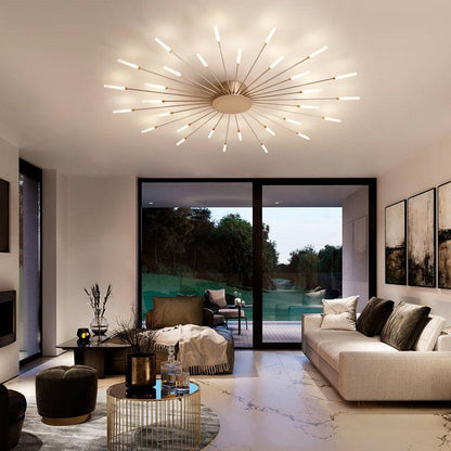 Ceiling Room Lights With Special Iron Decoration - Pacisia