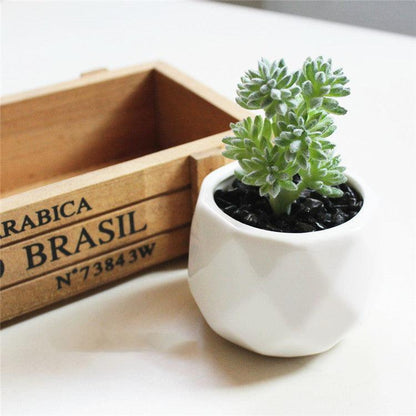 Artificial Succulent Bonsai Creative Ornaments for Home Table Garden Decoration Artificial Plants with Pot - Pacisia