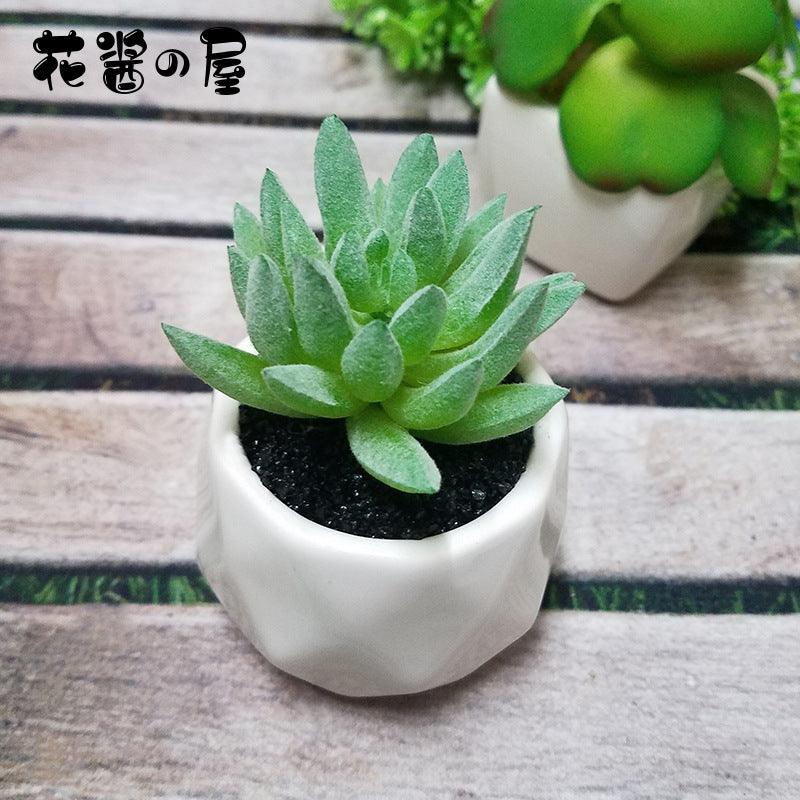 Artificial Succulent Bonsai Creative Ornaments for Home Table Garden Decoration Artificial Plants with Pot - Pacisia