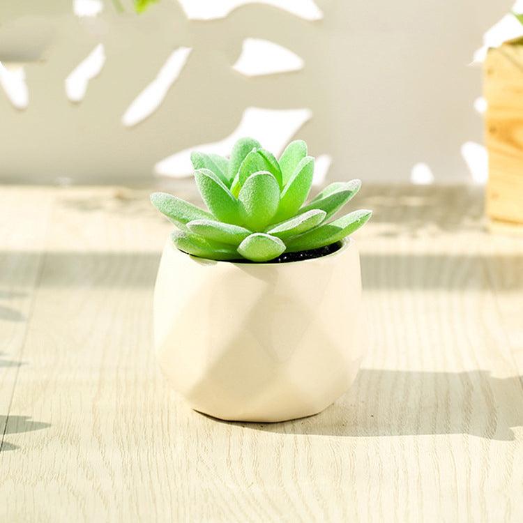 Artificial Succulent Bonsai Creative Ornaments for Home Table Garden Decoration Artificial Plants with Pot - Pacisia