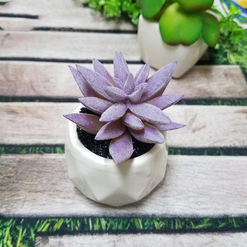 Artificial Succulent Bonsai Creative Ornaments for Home Table Garden Decoration Artificial Plants with Pot - Pacisia