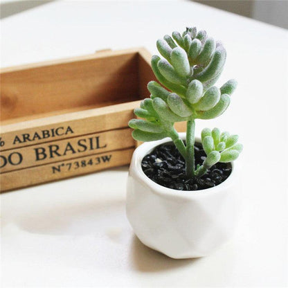 Artificial Succulent Bonsai Creative Ornaments for Home Table Garden Decoration Artificial Plants with Pot - Pacisia