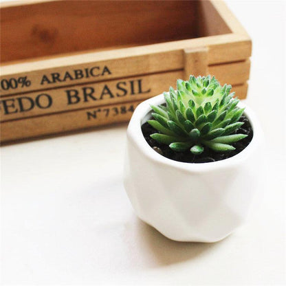 Artificial Succulent Bonsai Creative Ornaments for Home Table Garden Decoration Artificial Plants with Pot - Pacisia