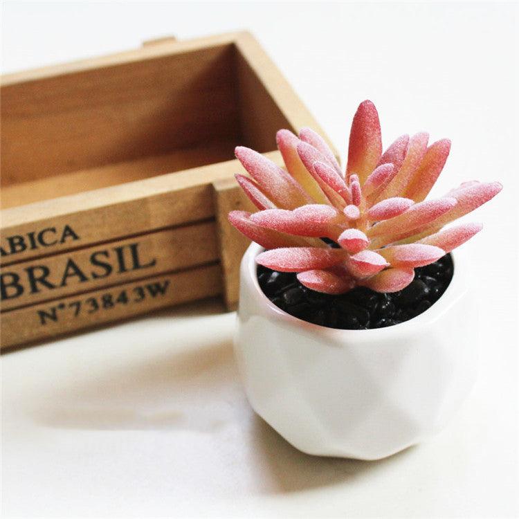 Artificial Succulent Bonsai Creative Ornaments for Home Table Garden Decoration Artificial Plants with Pot - Pacisia