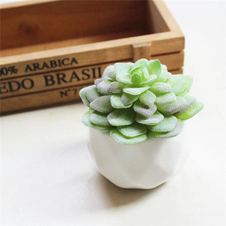 Artificial Succulent Bonsai Creative Ornaments for Home Table Garden Decoration Artificial Plants with Pot - Pacisia