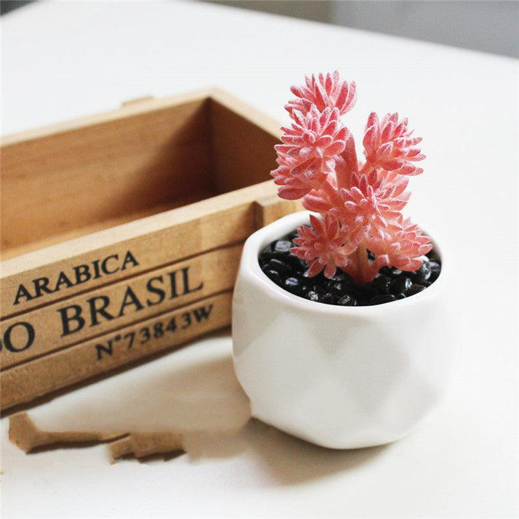 Artificial Succulent Bonsai Creative Ornaments for Home Table Garden Decoration Artificial Plants with Pot - Pacisia