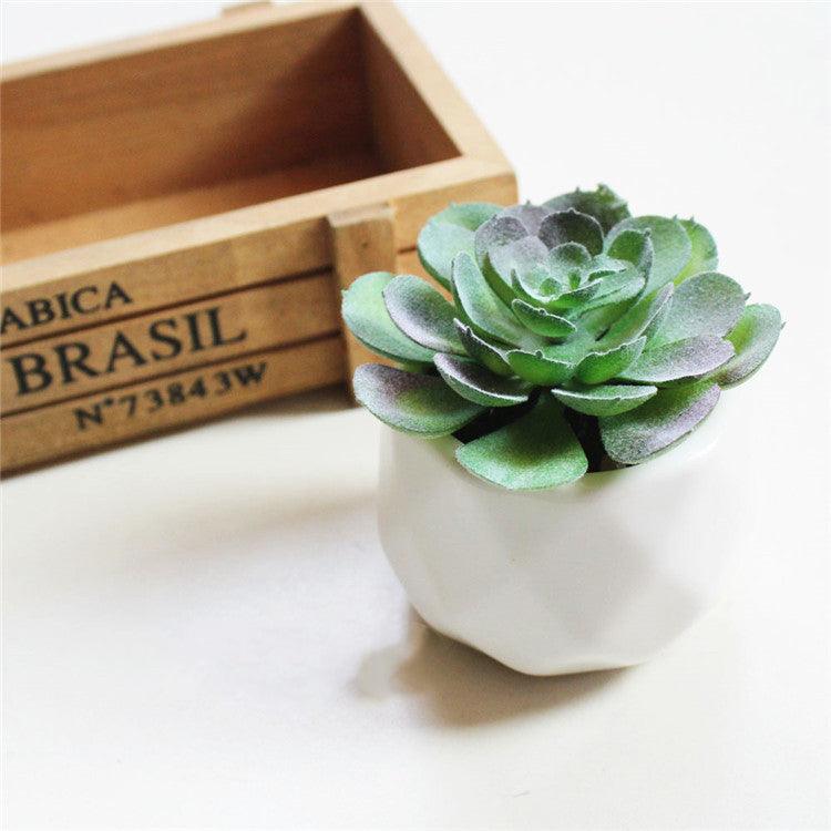 Artificial Succulent Bonsai Creative Ornaments for Home Table Garden Decoration Artificial Plants with Pot - Pacisia