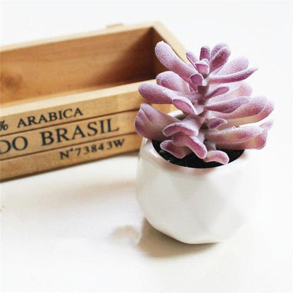 Artificial Succulent Bonsai Creative Ornaments for Home Table Garden Decoration Artificial Plants with Pot - Pacisia