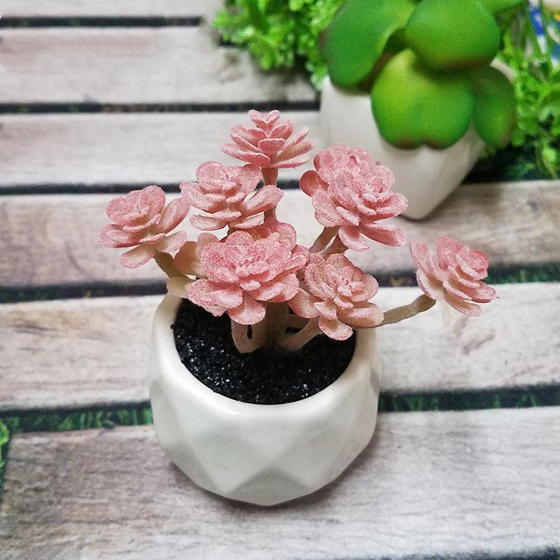 Artificial Succulent Bonsai Creative Ornaments for Home Table Garden Decoration Artificial Plants with Pot - Pacisia