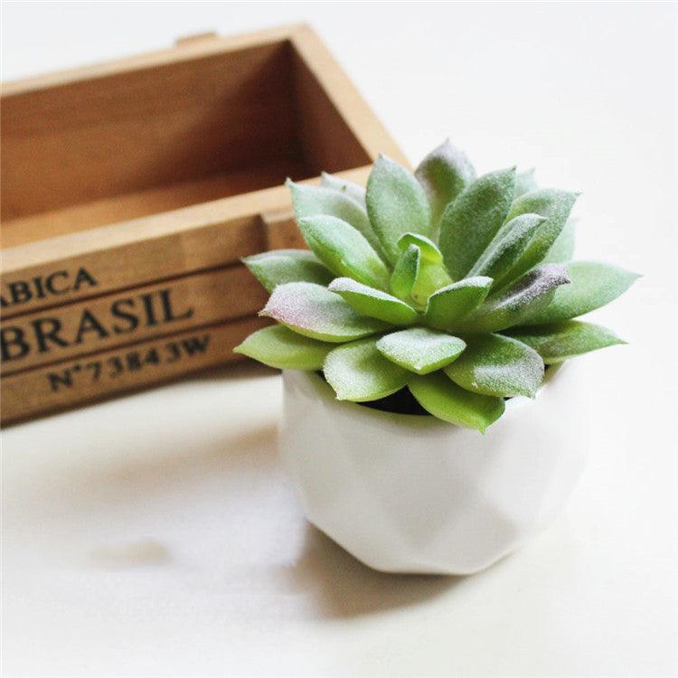 Artificial Succulent Bonsai Creative Ornaments for Home Table Garden Decoration Artificial Plants with Pot - Pacisia