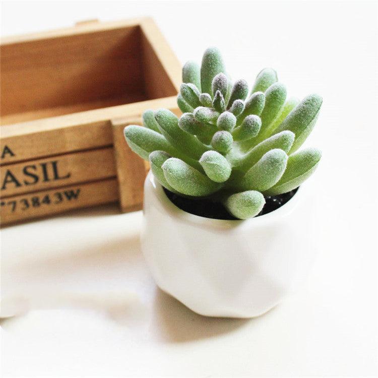 Artificial Succulent Bonsai Creative Ornaments for Home Table Garden Decoration Artificial Plants with Pot - Pacisia