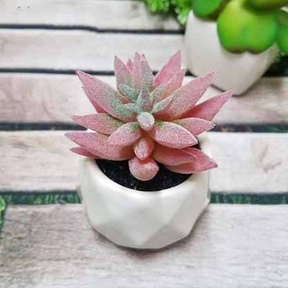 Artificial Succulent Bonsai Creative Ornaments for Home Table Garden Decoration Artificial Plants with Pot - Pacisia