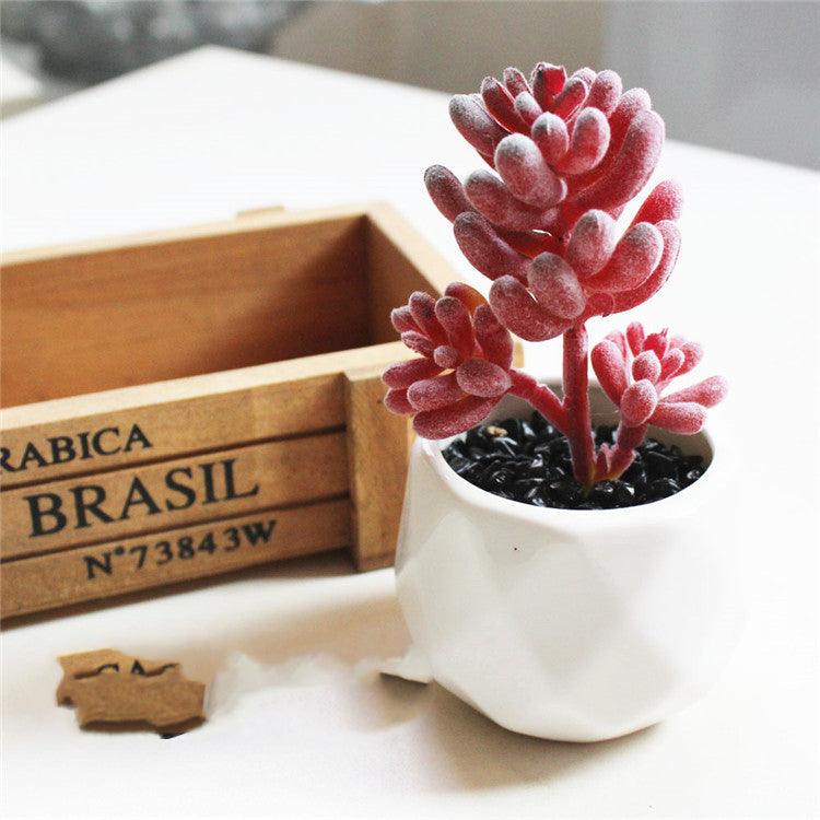 Artificial Succulent Bonsai Creative Ornaments for Home Table Garden Decoration Artificial Plants with Pot - Pacisia