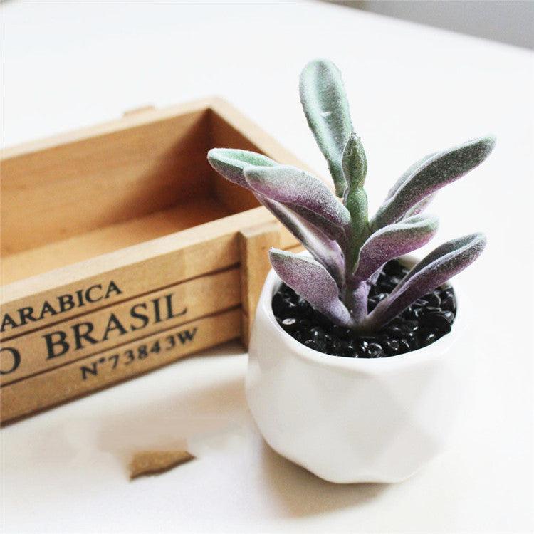 Artificial Succulent Bonsai Creative Ornaments for Home Table Garden Decoration Artificial Plants with Pot - Pacisia