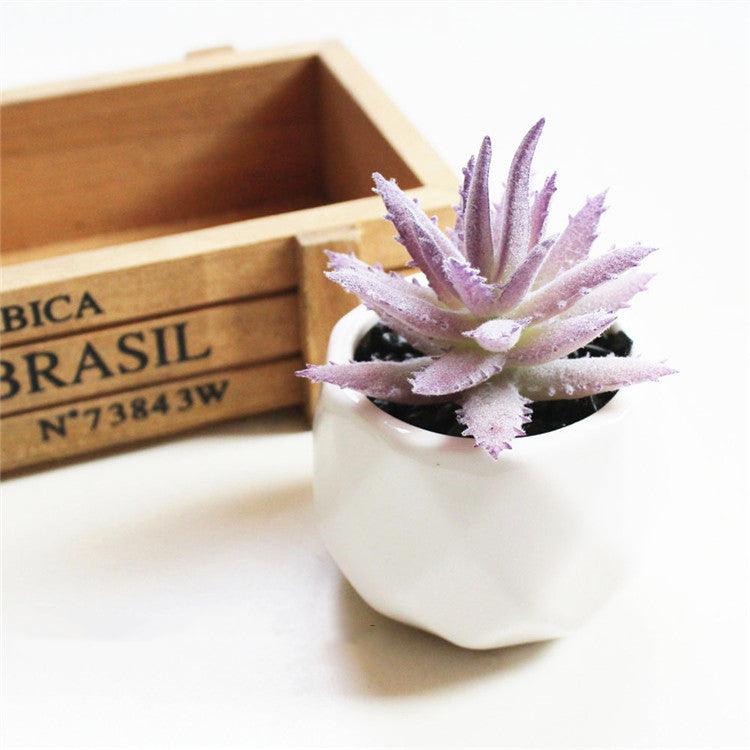 Artificial Succulent Bonsai Creative Ornaments for Home Table Garden Decoration Artificial Plants with Pot - Pacisia