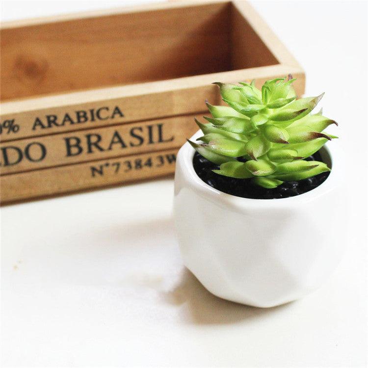 Artificial Succulent Bonsai Creative Ornaments for Home Table Garden Decoration Artificial Plants with Pot - Pacisia