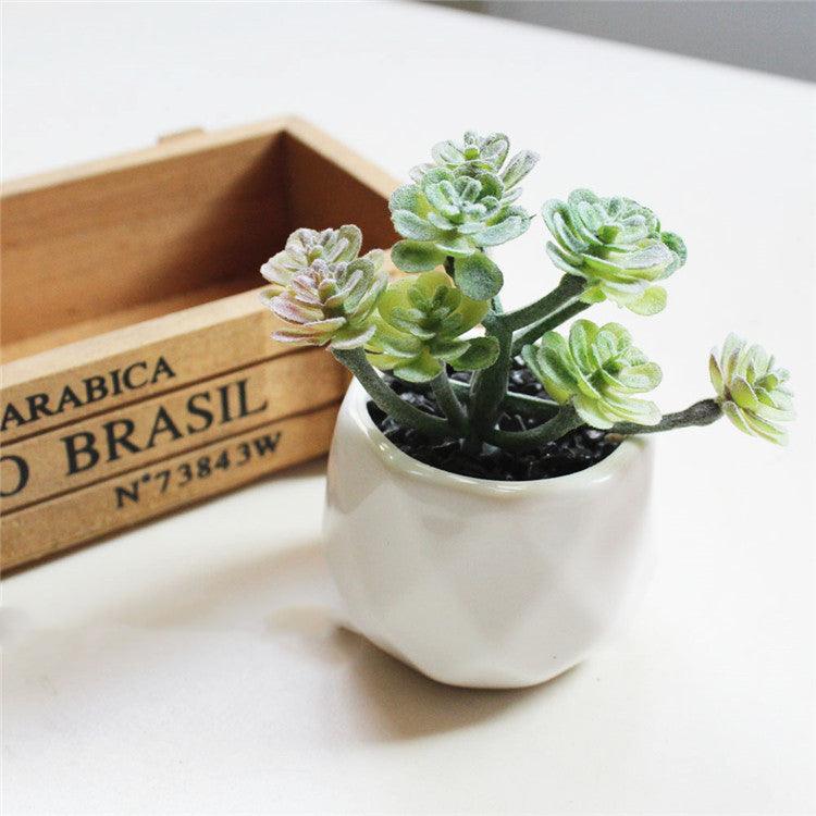 Artificial Succulent Bonsai Creative Ornaments for Home Table Garden Decoration Artificial Plants with Pot - Pacisia