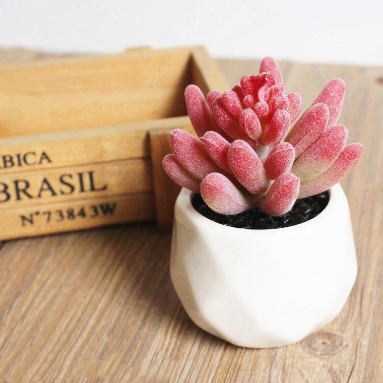 Artificial Succulent Bonsai Creative Ornaments for Home Table Garden Decoration Artificial Plants with Pot - Pacisia