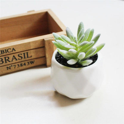 Artificial Succulent Bonsai Creative Ornaments for Home Table Garden Decoration Artificial Plants with Pot - Pacisia