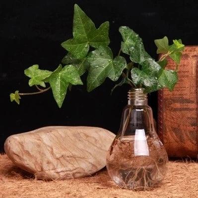 Creative Free Shipping Transparent Glass Bulb Vase - Pacisia