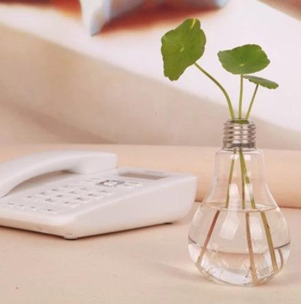 Creative Free Shipping Transparent Glass Bulb Vase - Pacisia