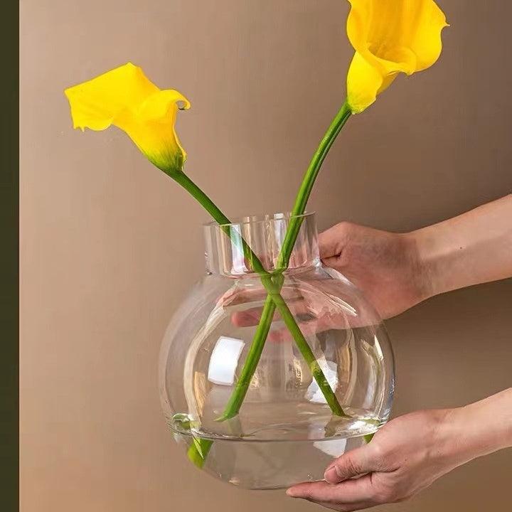 Creative Glass Vase Transparent Hydroponic Flower Dry Flower Vase - Pacisia