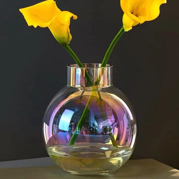 Creative Glass Vase Transparent Hydroponic Flower Dry Flower Vase - Pacisia