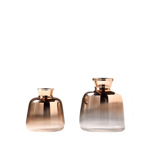 Creative Hydroponic Glass Vase Living Room Flower Arrangement - Pacisia