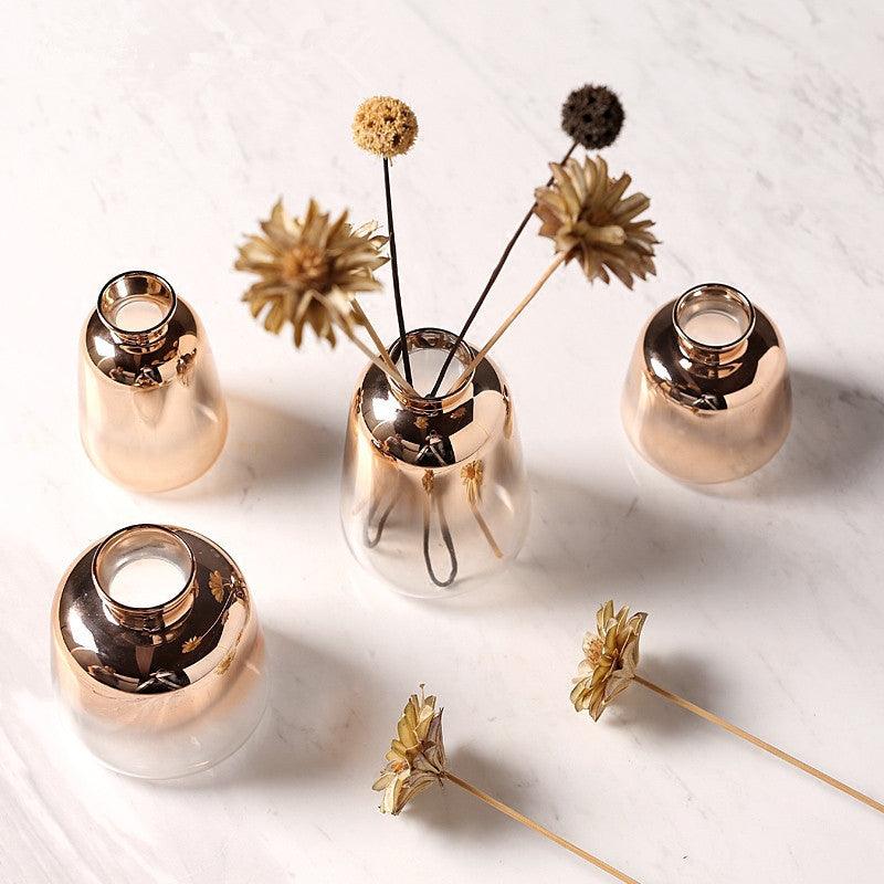 Creative Hydroponic Glass Vase Living Room Flower Arrangement - Pacisia