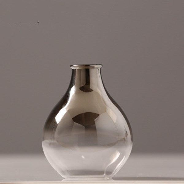 Creative Silver-plated Small Glass Vase Decoration - Pacisia