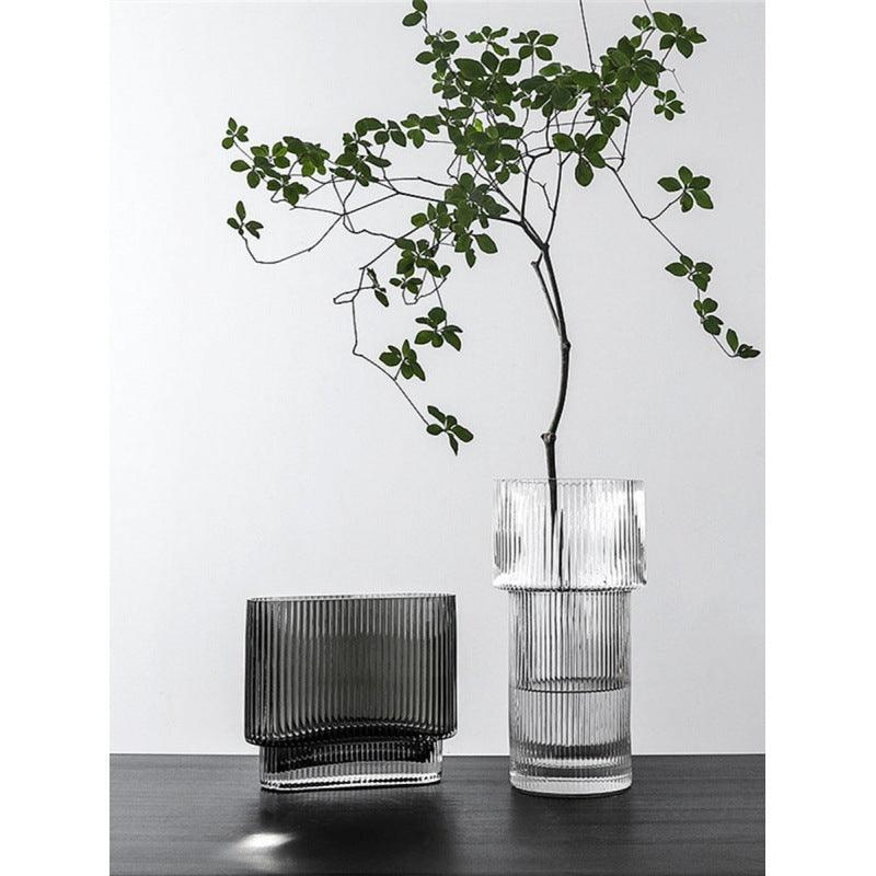 Creative Simple Transparent Glass Vase Water - Raising - Pacisia