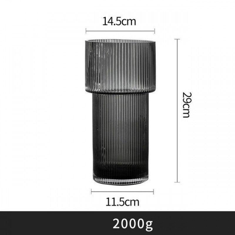 Creative Simple Transparent Glass Vase Water - Raising - Pacisia