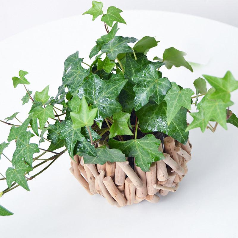 Creative Vase Decoration Light Luxury Home Table Office - Pacisia