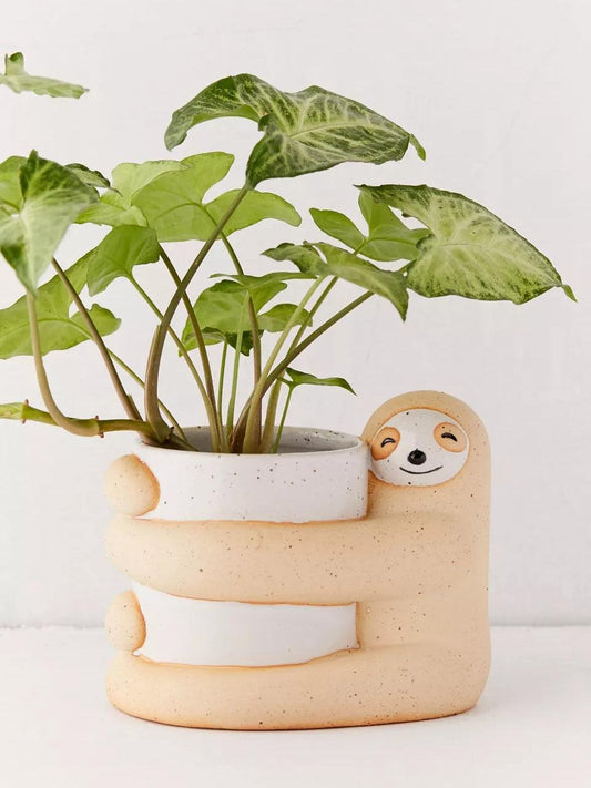 Cute, Creative And  Green Plant Potted Plants - Pacisia